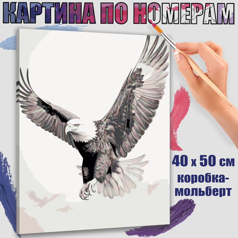 Картина по номерам 40x50 см. Орел #1