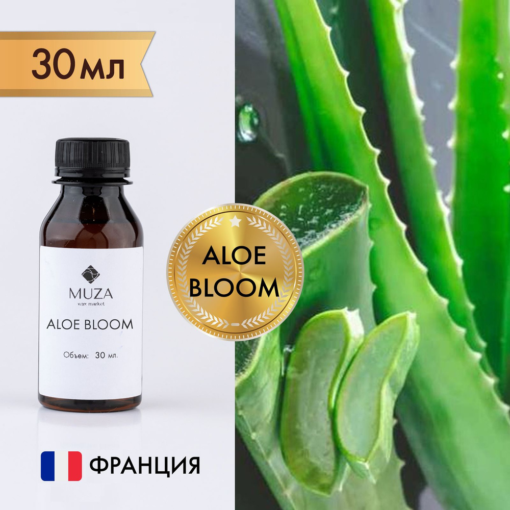 Отдушка "Aloe bloom (Алоэ вера)", 30 мл., для свечей, мыла и диффузоров, Франция  #1