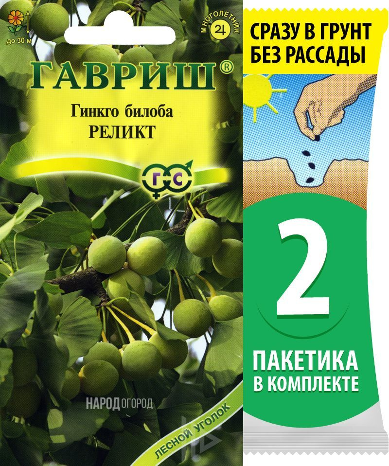 Семена Гинкго билоба Реликт, 2 пакетика по 2шт #1