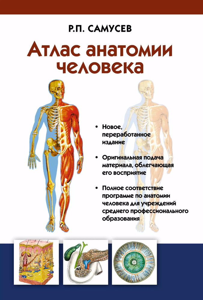 Атлас анатомии человека: учебное пособие для студентов учреждений среднего профессионального образования. #1
