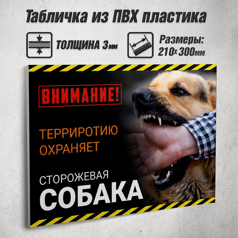 Информационная табличка "Внимание! Территорию охраняет сторожевая собака" / 30x21 см.  #1