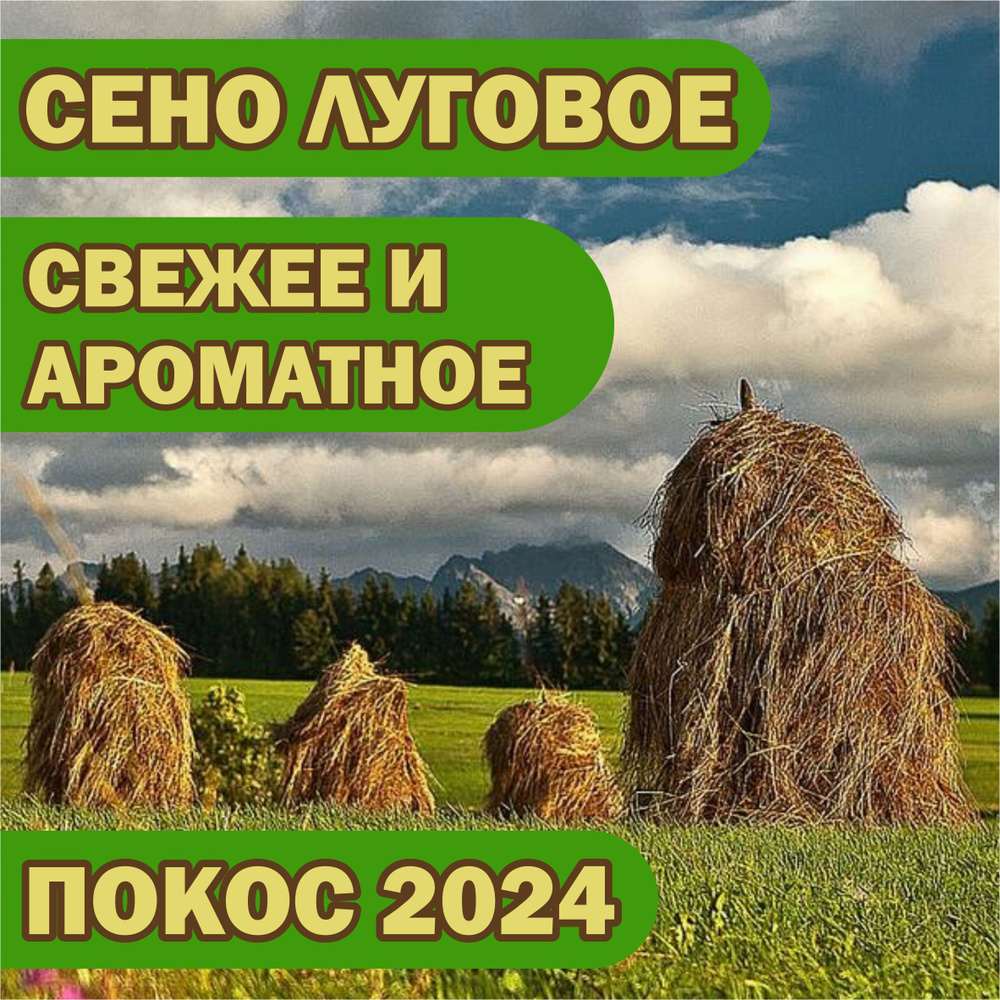 Сено тюк 12 - 15 кг. с заливных лугов на корм и подстилку для животных  #1