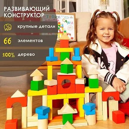 Конструктор деревянный КРАСНОКАМСКАЯ ИГРУШКА окрашенный 66 дет.  #1