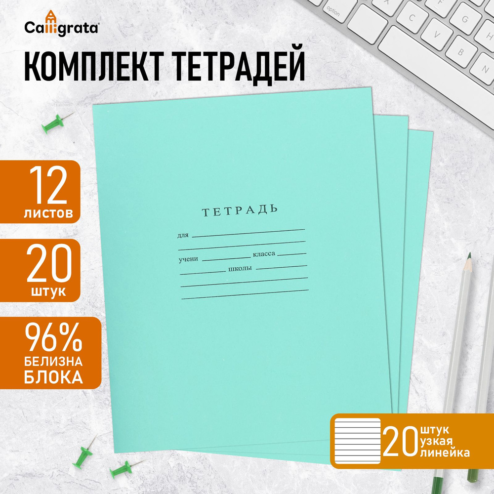 Комплект тетрадей из 20 штук, 12 листов в узкую линию Бумажная фабрика "Зелёная обложка", 60 г/м2, блок #1