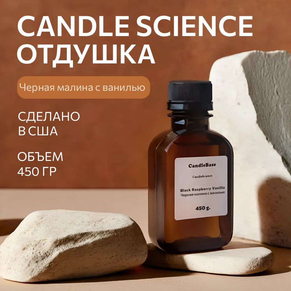 Отдушка/CandleScience Black Raspberry Vanilla/Аромамасла Черная малина с ванилью, 450гр.  #1