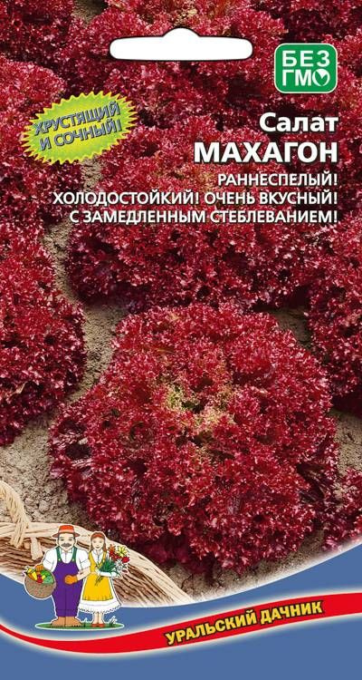 Салат Махагон, 1 пакет, семена 0,25г, Уральский Дачник #1