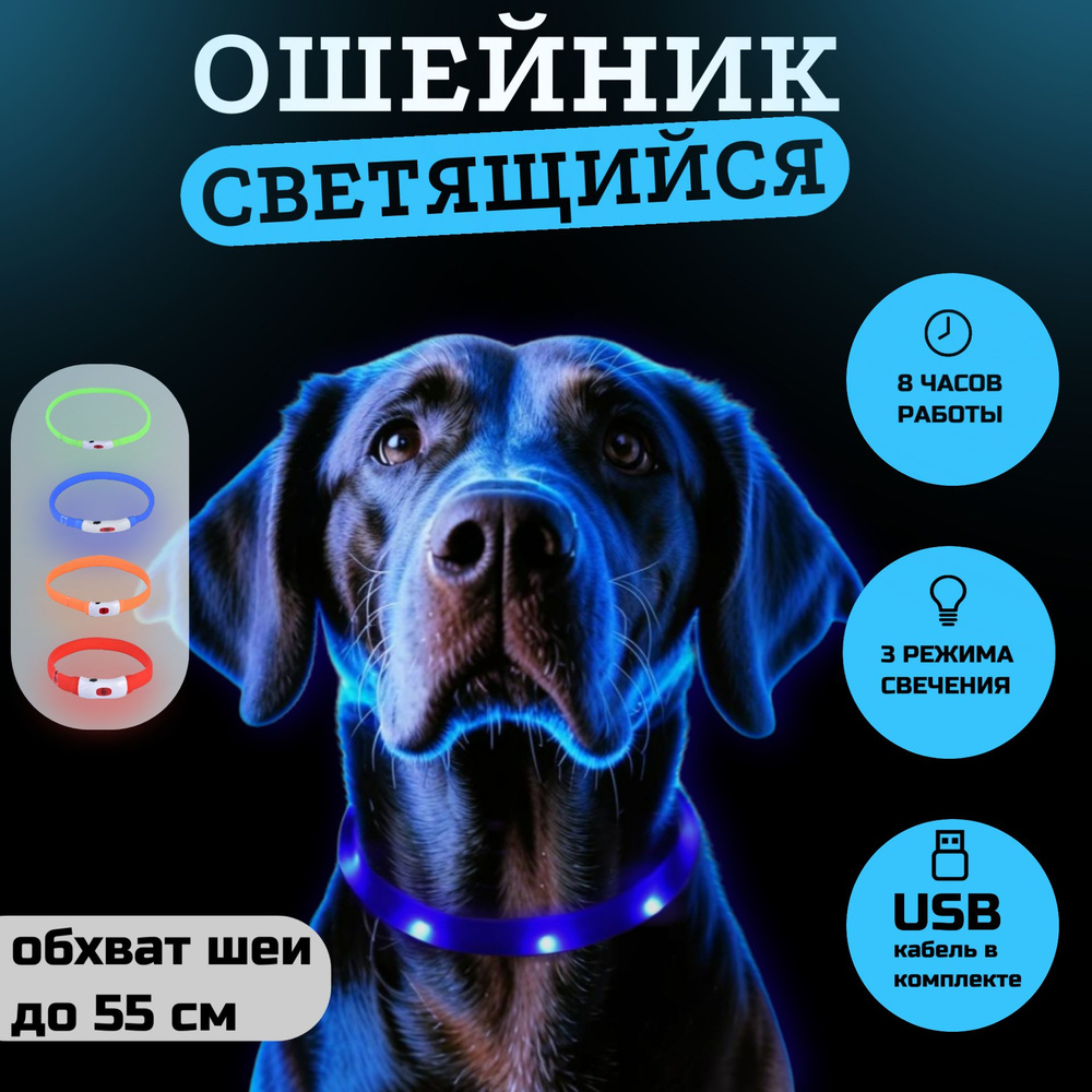 Светящийся ошейник для собак и кошек WOGY, обхват шеи до 55см, 10LED, 3режима, USB-зарядка, синий  #1