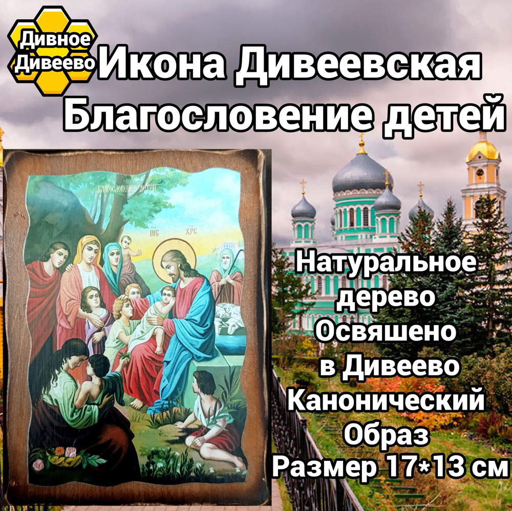 икона Дивеевская Господь"Благословение детей" #1