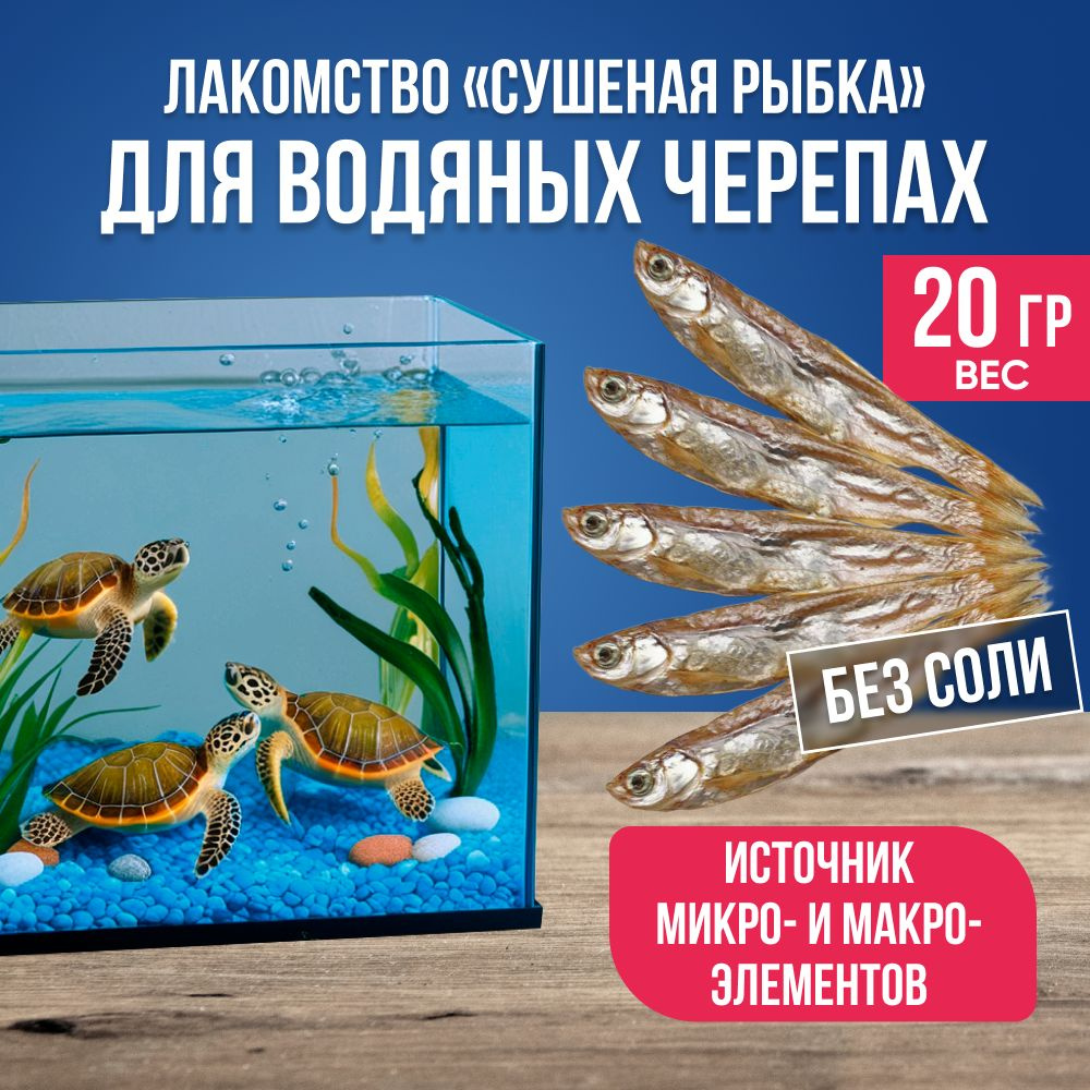 Лакомство "Сушеная рыбка" для водяных черепах, 20г / Корм для красноухих черепах, витамины для рептилий #1