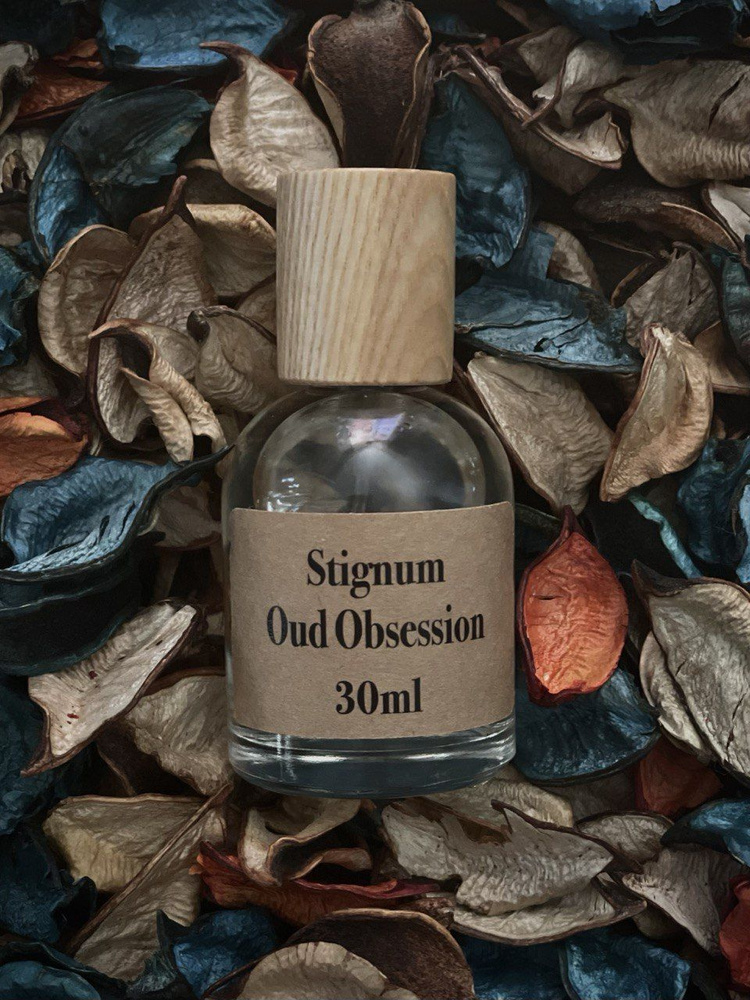 Stignum Ароматизатор автомобильный, Oud Obsession #1