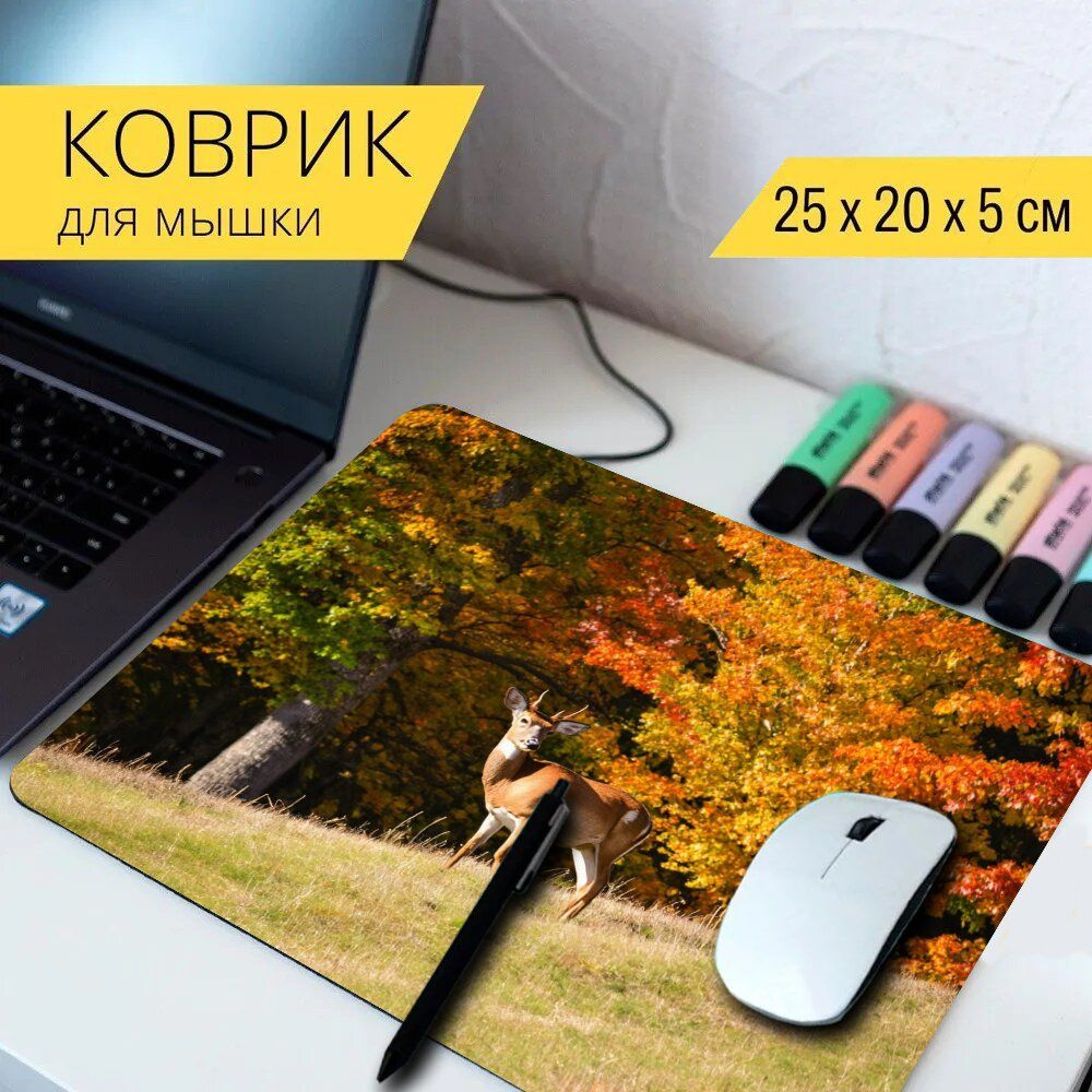 LotsPrints Коврик для мыши poc-THEMES-AUTUMN-657, разноцветный #1