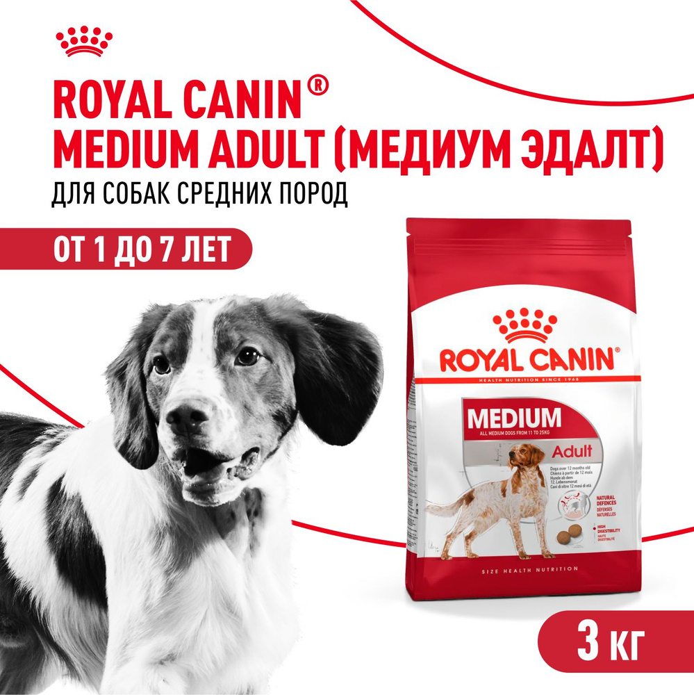 Royal Canin Medium Adult Корм сухой для взрослых собак средних размеров, 3 кг  #1