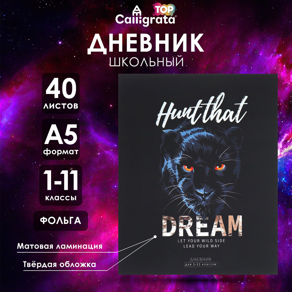 Дневник универсальный для 1-11 классов HUNT THAT DREAM, твёрдая обложка, матовая ламинация, фольгирование, #1