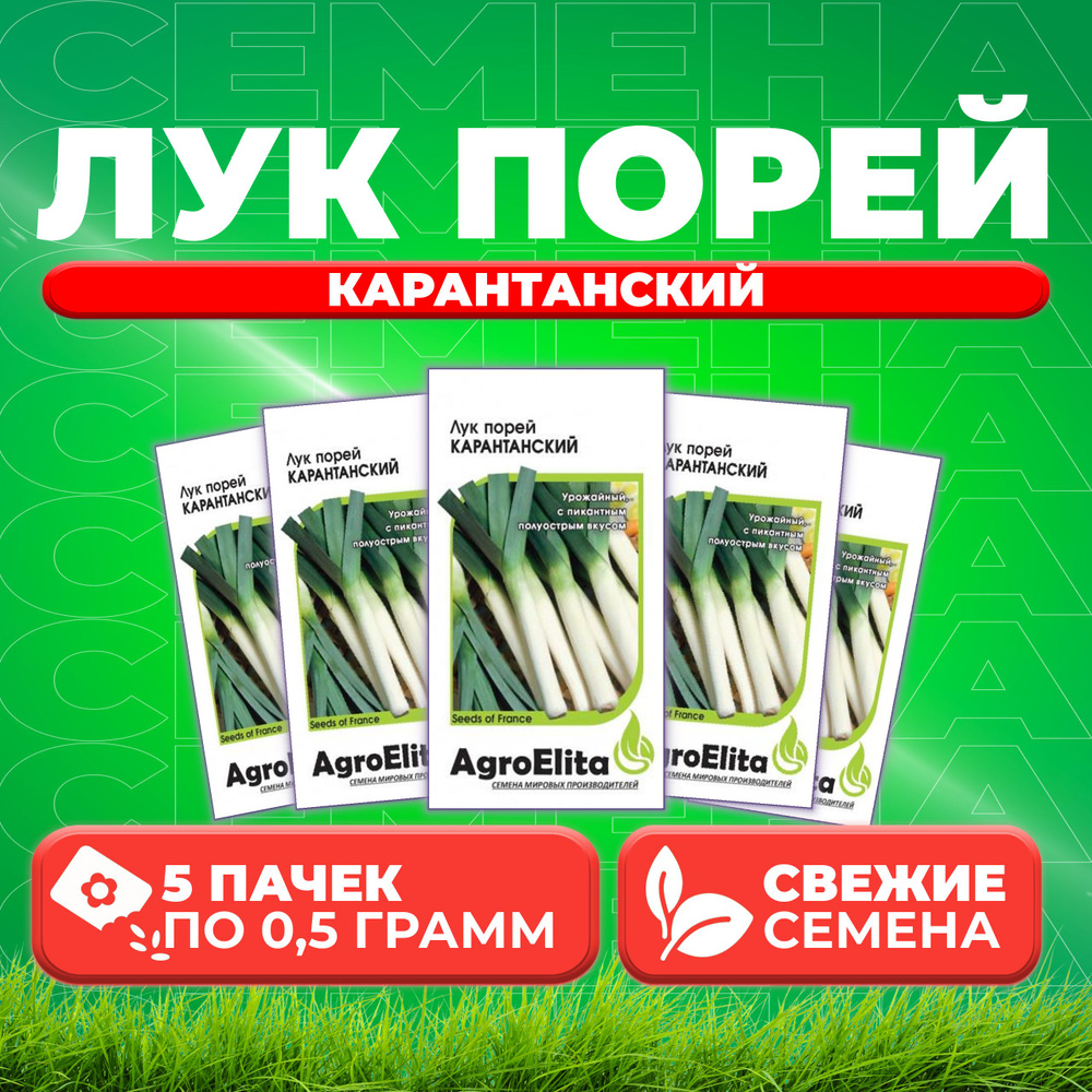 Лук порей Карантанский, 0,5г, AgroElita (5 уп) #1