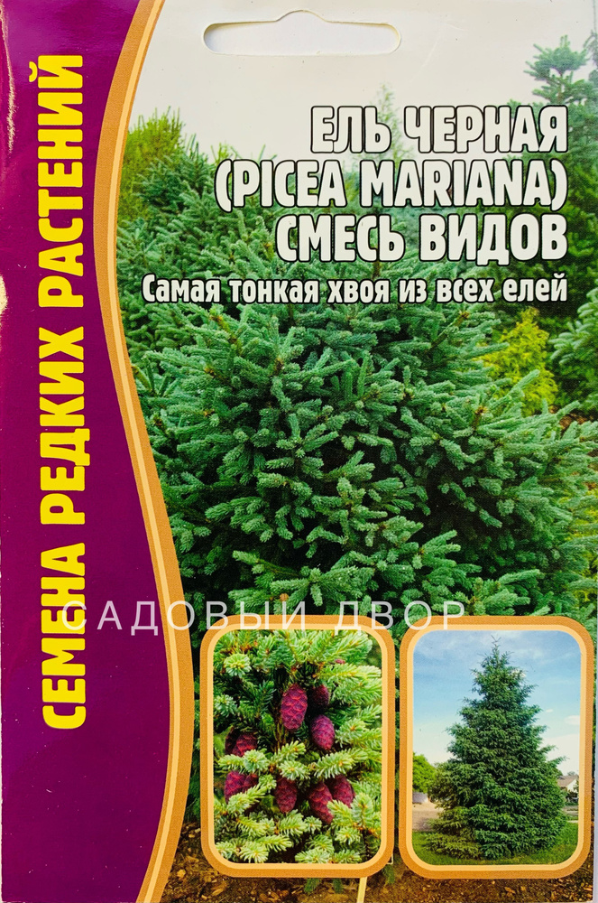 Ель Черная (Picea mariana) смесь видов, семена 20 шт, 1 пакет, ЧК #1