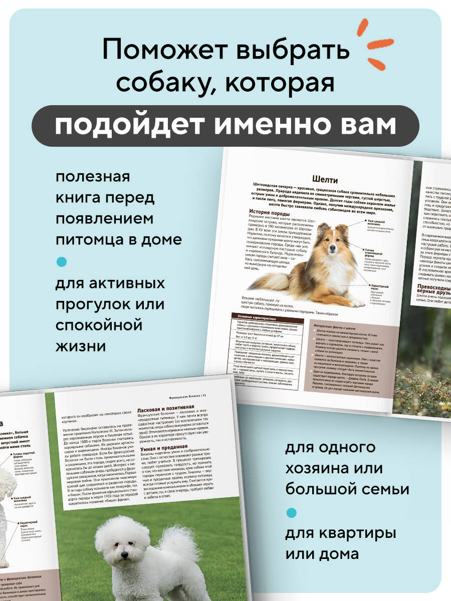 Все породы собак. Большая иллюстрированная энциклопедия | All Dog Breeds: The Big Illustrated Encyclopedia - Ozon image 1
