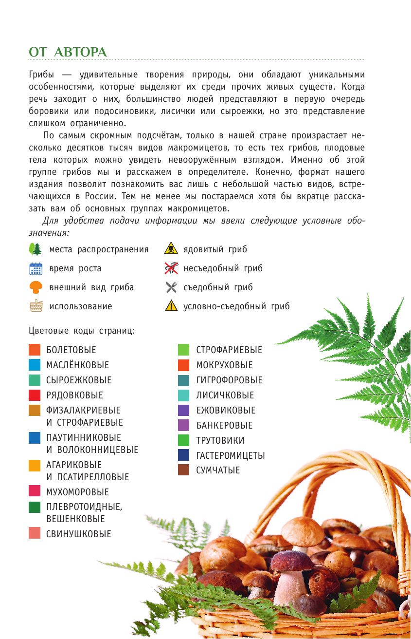 «Грибы России» — фото 5