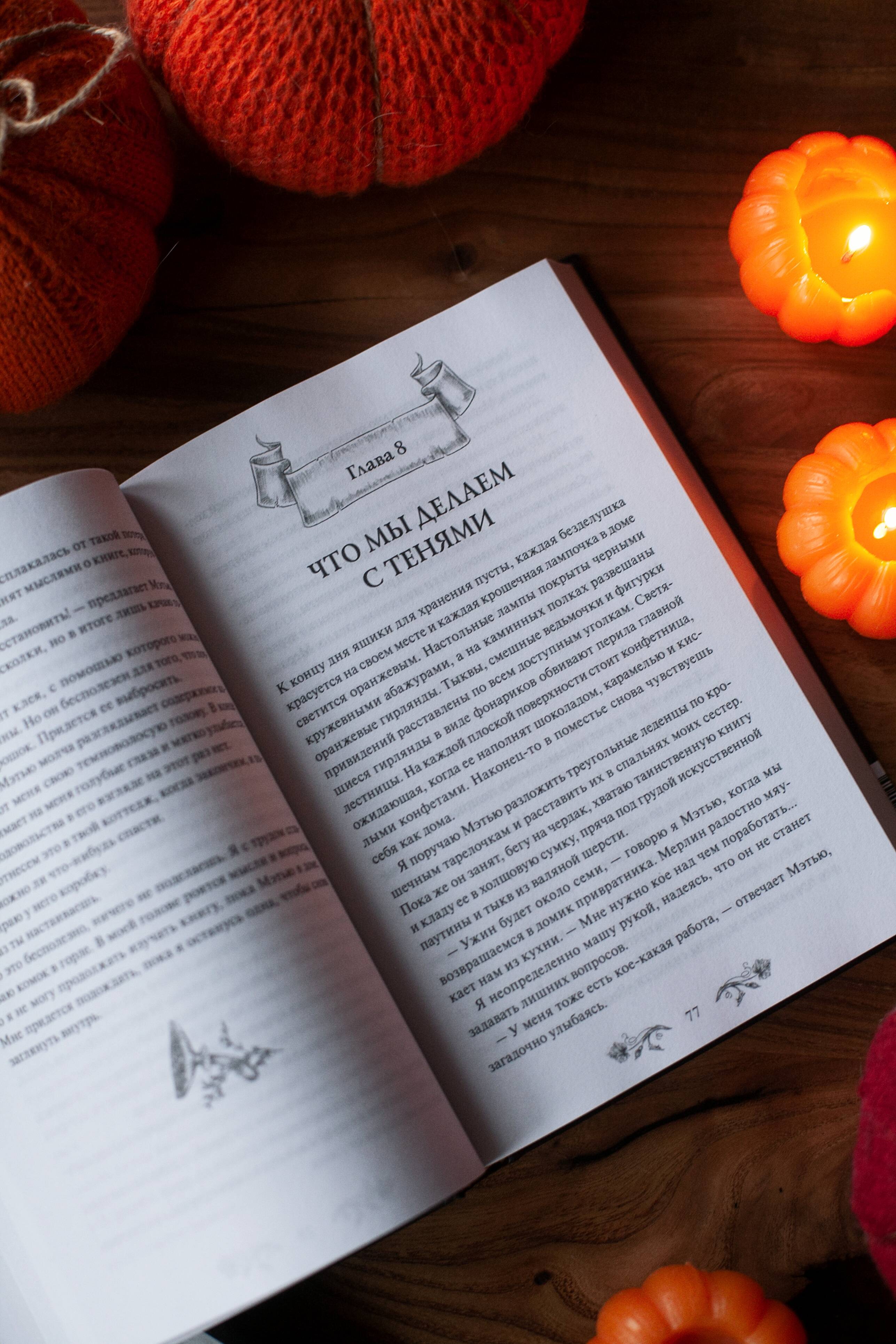 Самайн у ведьмы пограничья | Samhain at the Witch of the Border - Ozon image 7