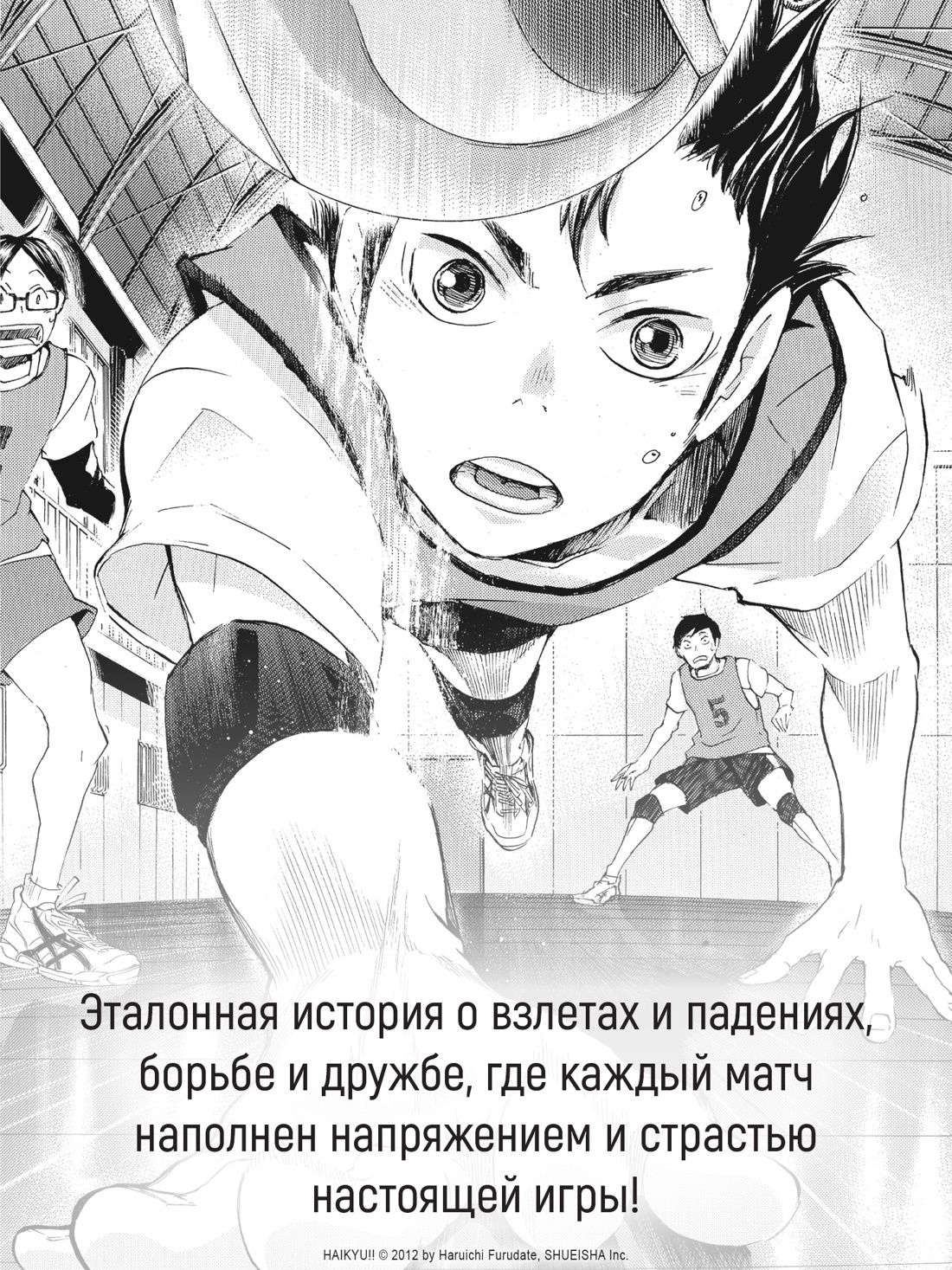 Волейбол! Книга 2. Вперед, команда «Карасуно»! Соперники | Haikyu!! Book 2. Go, Karasuno Team! Rivals - Ozon image 2