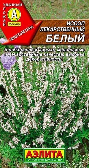 ИССОП ЛЕКАРСТВЕННЫЙ БЕЛЫЙ. Семена. Вес 0,1 гр. Многолетний, пряно-ароматический полукустарник.  #1