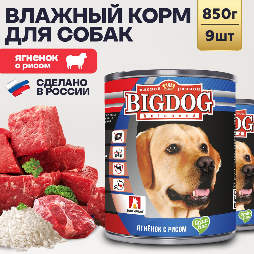 Влажный корм для собак крупных и средних пород Зоогурман ПРЕМИУМ Big Dog Ягненок с рисом, 850 г х 9 шт #1