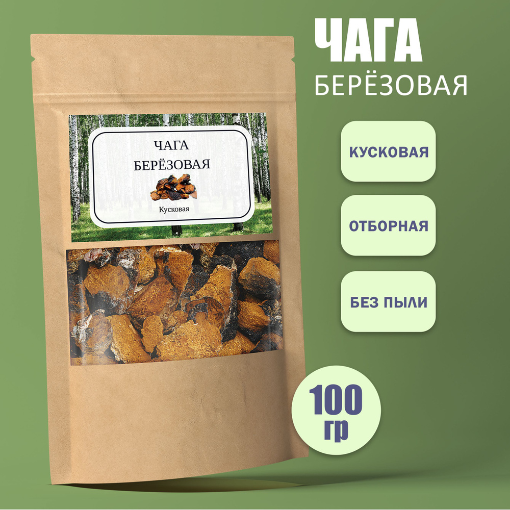 Чага берёзовая натуральная кусковая #1