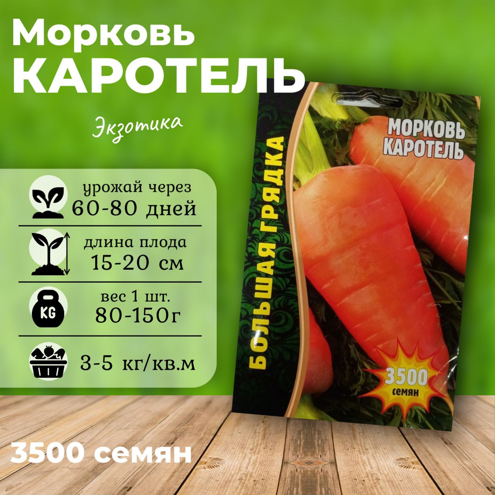 Семена Морковь "Каротель" 3500 шт. семян Редкие семена Экзотика  #1