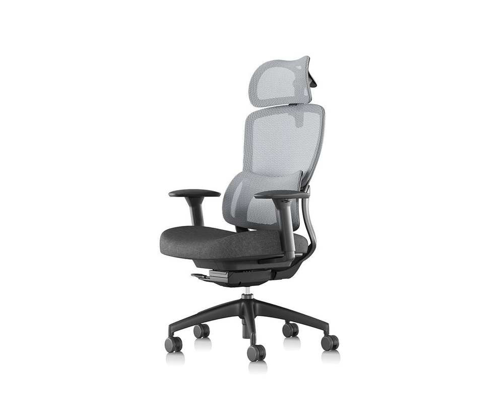 Компьютерное кресло Eureka Ergonomic LARK Gray #1