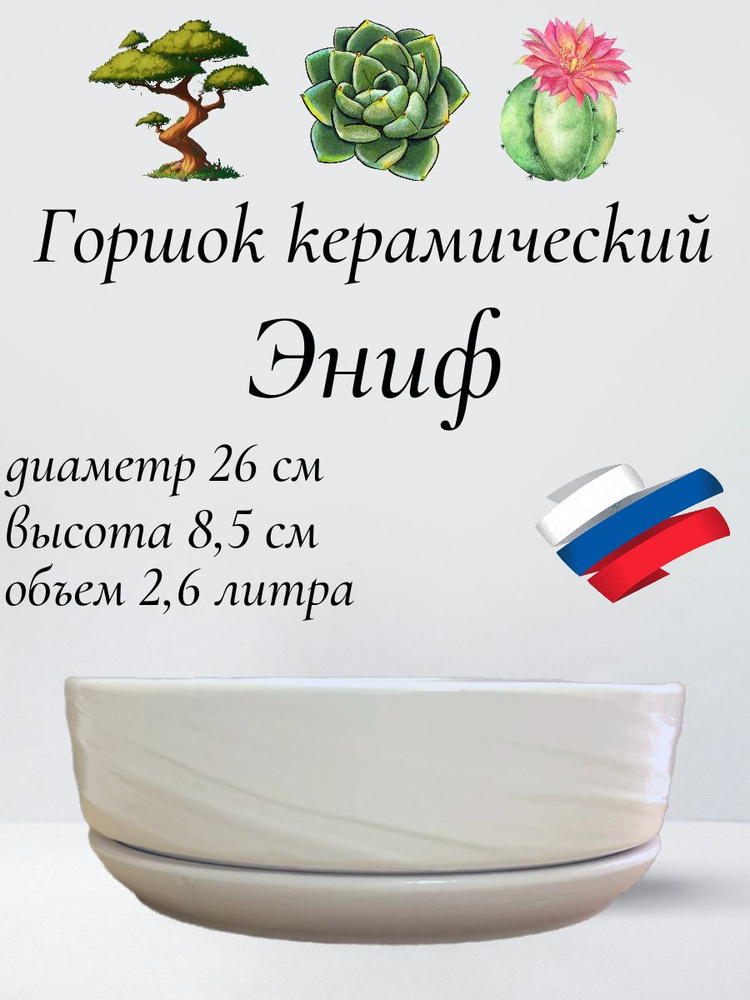 Керамический горшок "Бонсай - Эниф" для бонсай, кактусов и суккулентов, диаметр 26 см, высота 8,5 см, #1