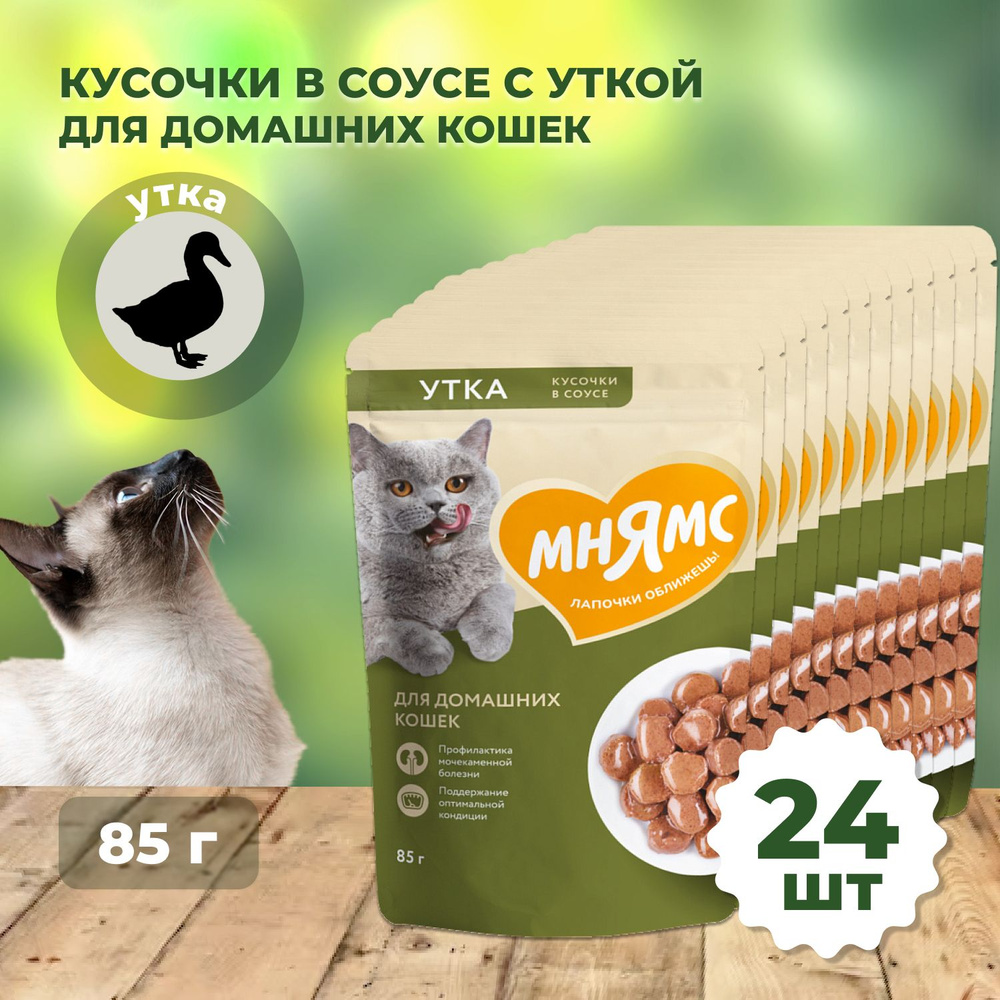 Влажный корм Мнямс Кусочки в соусе с уткой для домашних кошек 25x85г  #1