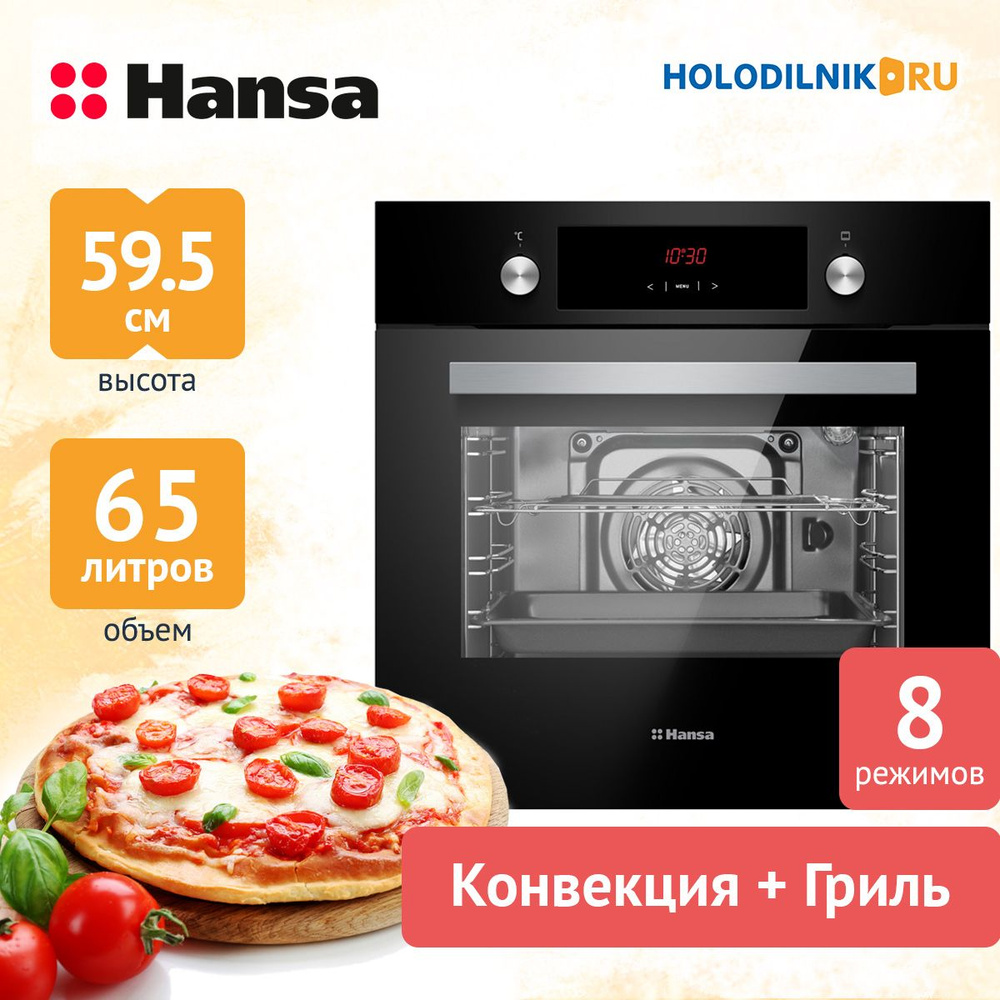 Встраиваемый электрический духовой шкаф Hansa BOES 68441 Quadrum #1