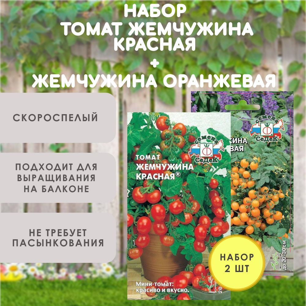 Семена балконных томатов Жемчужина красная, черри + помидоры для подоконника Жемчужина оранжевая, низкорослые, #1