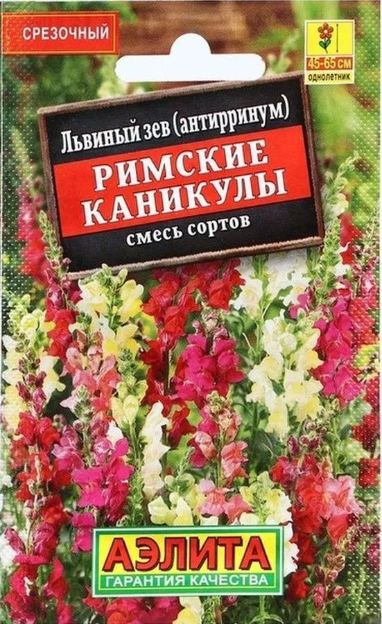 Семена Львиный зев Римские каникулы, смесь сортов (0,1 г) -Агрофирма Аэлита  #1