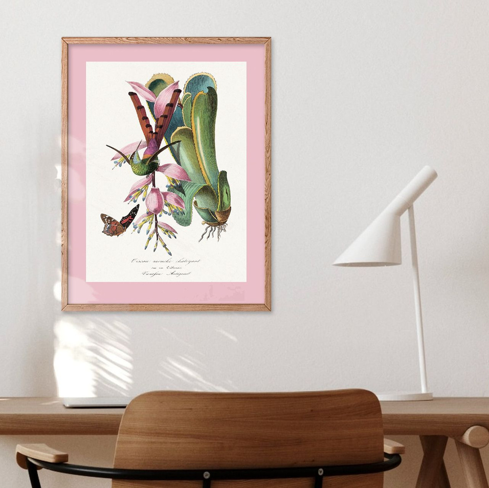 Bloomsson Постер "Яркая ретро иллюстрация колибри, Дескуртильц", 40 см х 30 см  #1