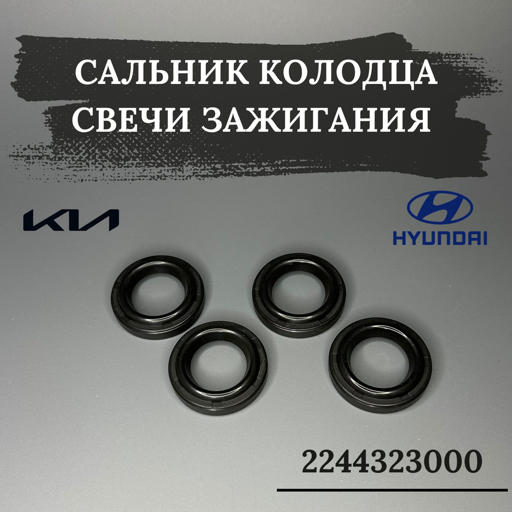 Прокладка свечного колодца 2244323000 Hyundai/Kia Hyundai Accent, Getz, Elantra, Matrix  #1