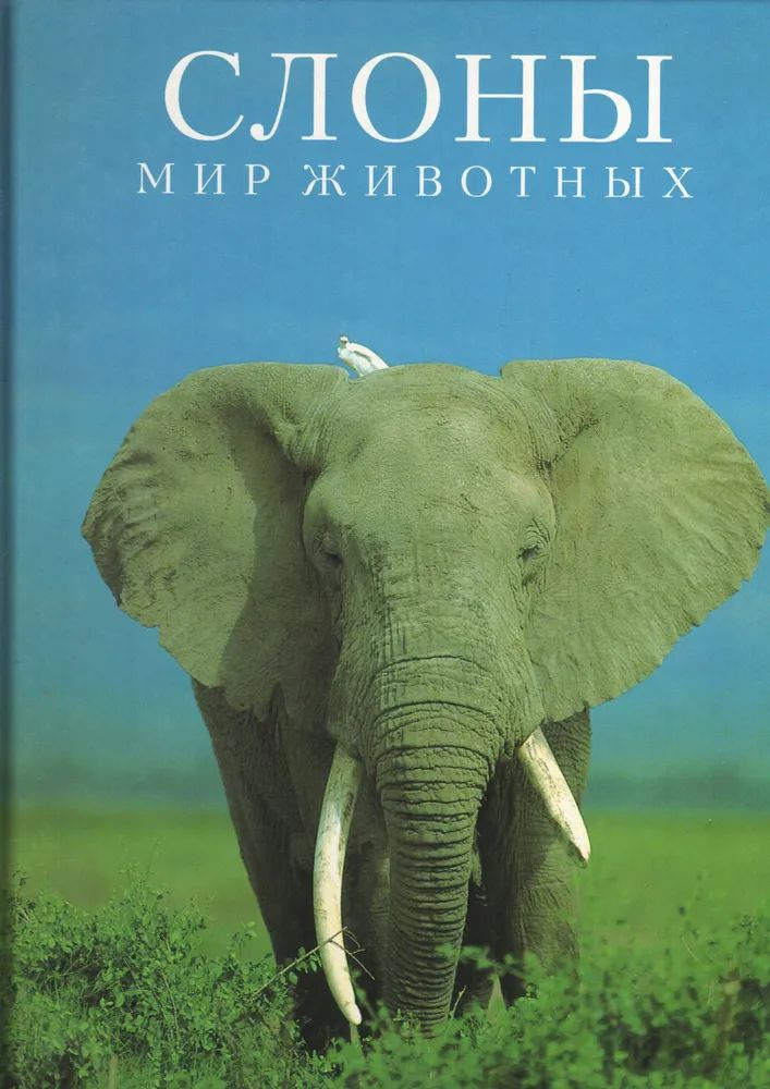 СЛОНЫ. Мир животных (Более 90 цветных иллюстраций. Размер книги 33х24 см) | Ли Ру III Леонард  #1