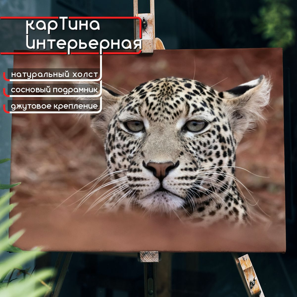 Картина интерьерная на холсте, горизонтальная - Мордочка леопарда вблизи 22x30 см  #1