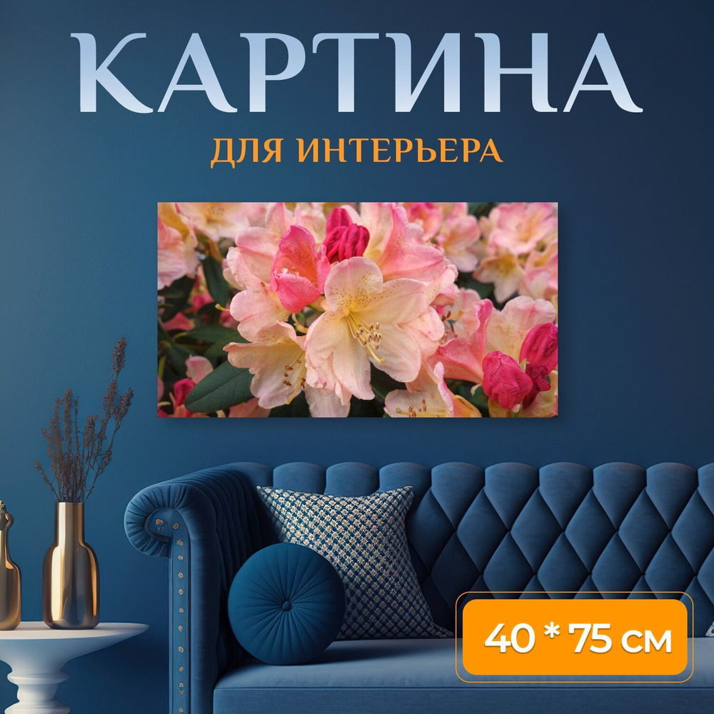 Картина на холсте "Рододендрон, расцветает, цветок рододендрон" на подрамнике 75х40 см. для интерьера #1