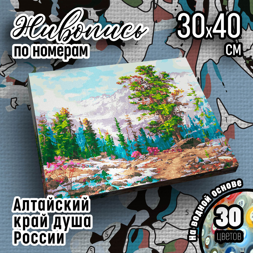 Белоснежка Живопись по номерам Холст 30*40 Алтайский край душа России 944-AS  #1