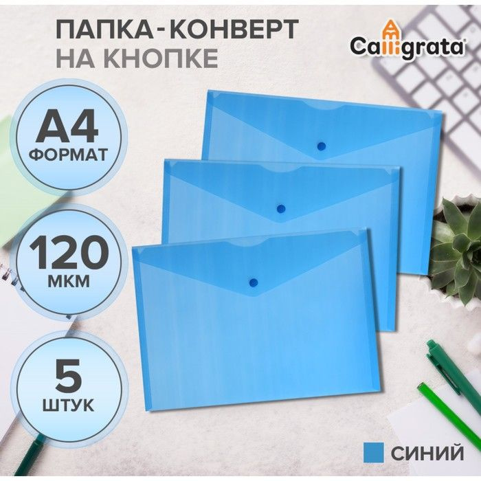 Набор папок-конвертов на кнопке 5 штук Calligrata, А4, 120мкм, синий  #1