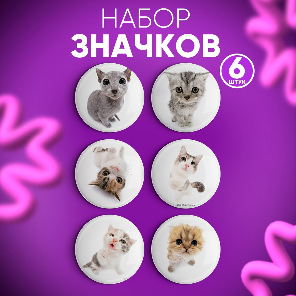 Набор значков 6 шт Котики, Значки на рюкзак, на одежду #1