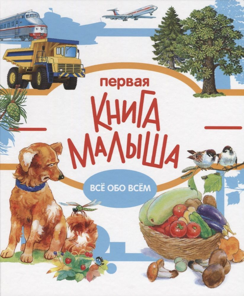 Книга Стрекоза Первая книга малыша. Все обо всем. 2019 год, И. Алексин, С. В. Бабюк, В. В. Бастрыкин #1