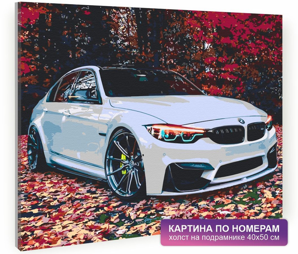 Картина по номерам на холсте с подрамником 40х50 см. Автомобиль, машина. "BMW M4", арт. 4531/  #1