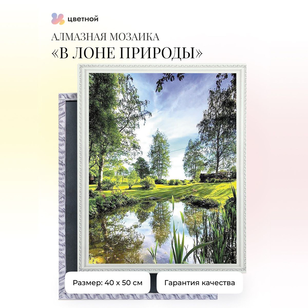 Алмазная мозаика на подрамнике 40х50 см полная выкладка ТМ Цветной  #1