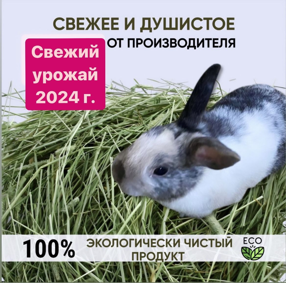 Сено отборное для грызунов, ZooArt,600 гр. #1