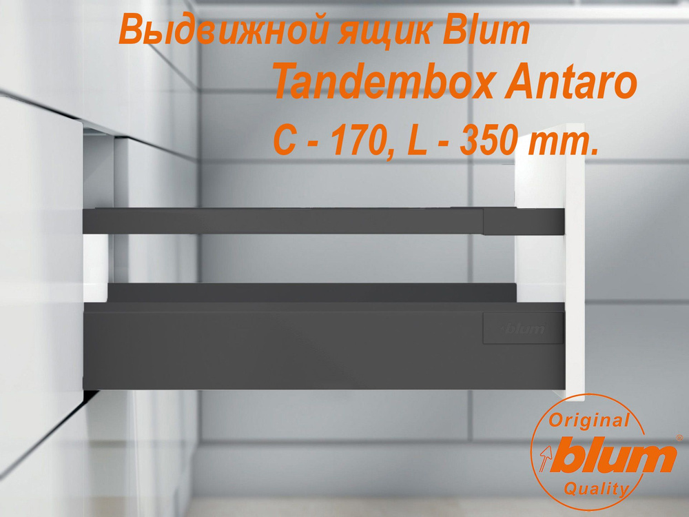 Выдвижной ящик BLUM TANDEMBOX ANTARO, высота C (170 мм.), L- 350 мм., серый орион  #1