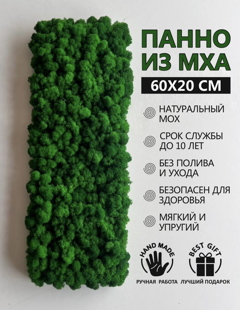 Панно из стабилизированного мха Ягель, настенное Панно размер 60*20 см, для озеленения интерьера.  #1