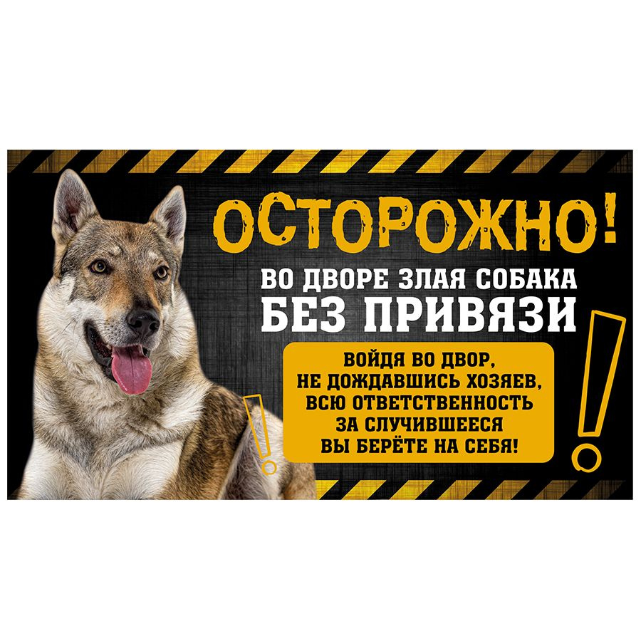 Табличка, с юмором, DANGER DOG, Осторожно! Во дворе собака без привязи, Чехословацкий влчак, 25x14 см #1