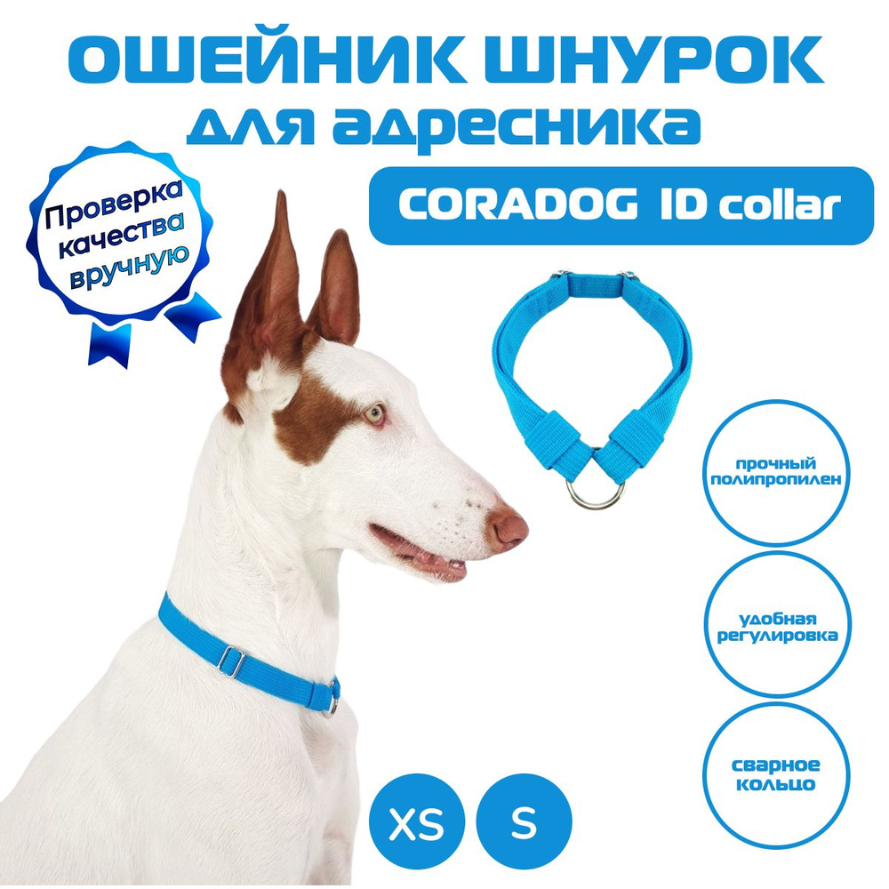 Ошейник шнурок для адресника, CORADOG ID collar, размер XS, ярко голубой  #1