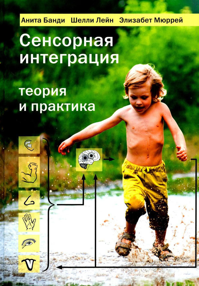 Сенсорная интеграция теория и практика. 2-е изд | Банди Анита, Лейн Шелли  #1